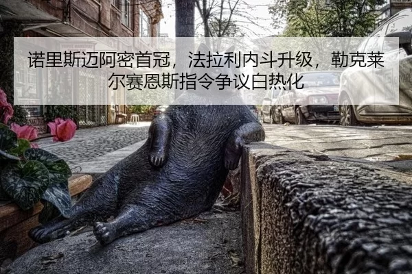 nuo-li-si-mai-a-mi-shou-guan-fa-la-li-nei-dou-sheng-ji-lei-ke-lai-er-sai-en-si-zhi-ling-zheng-yi-bai-re-hua-2-875.jpg